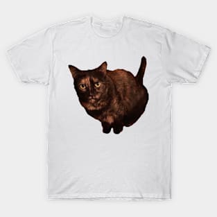 Tortitude T-Shirt